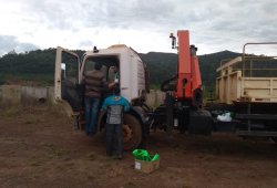 Galeria Metabase Mariana